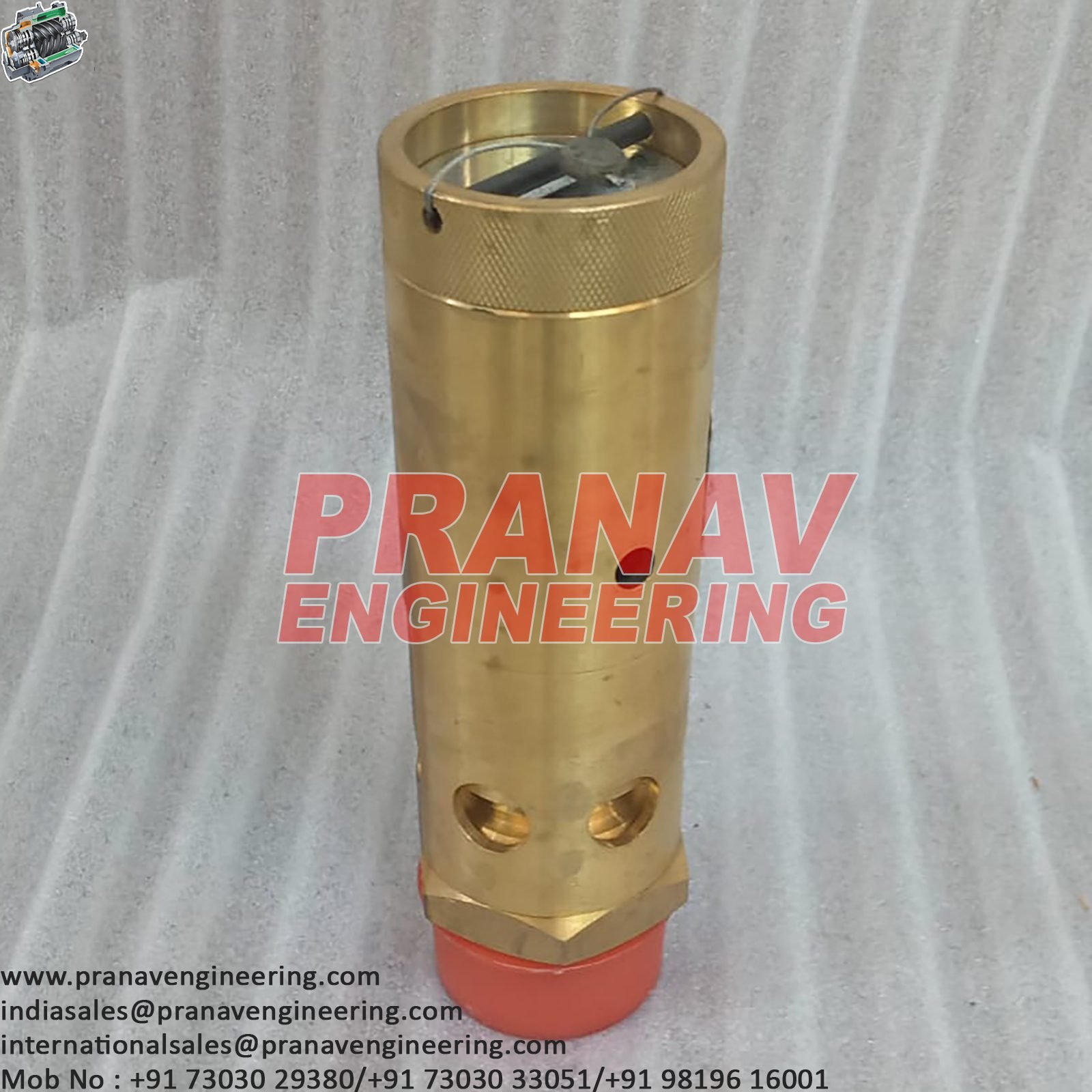 SAFETY VALVE-2202889101