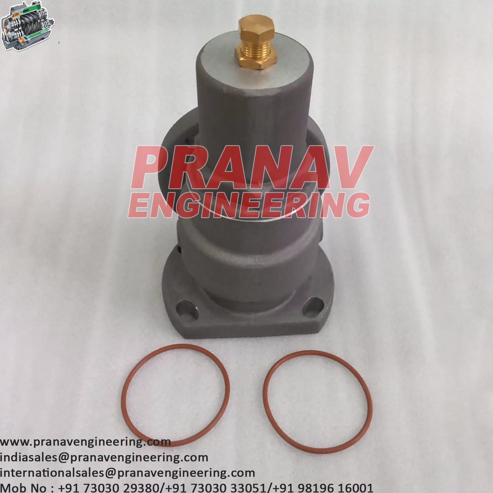 INTAKE VALVE-2205170300