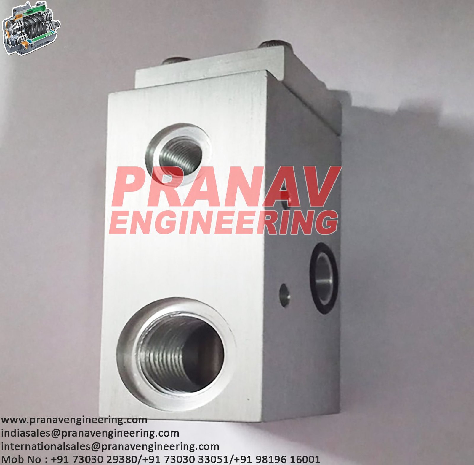 Blowdown Valve Kit - B009801070050